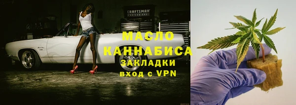 хмурый Верея