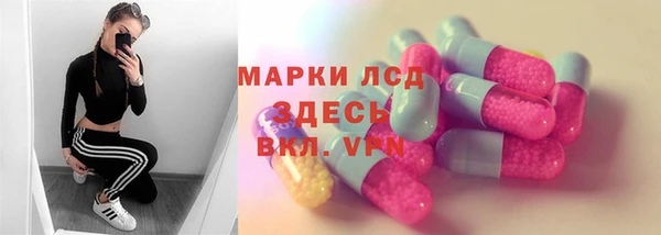 хмурый Верея