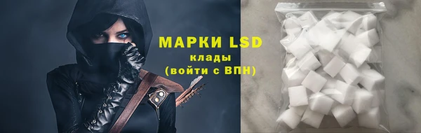 индика Бугульма
