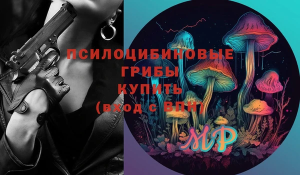 хмурый Верея