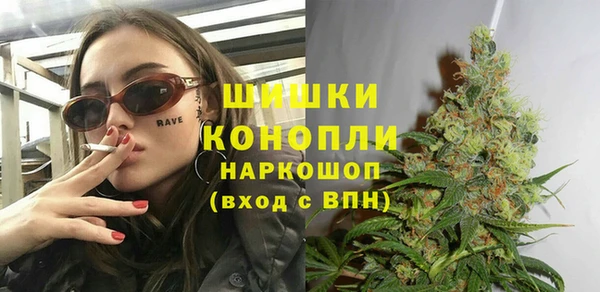 хмурый Верея