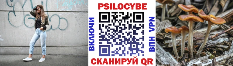 где можно купить   Нерехта  hydra вход  Галлюциногенные грибы Psilocybine cubensis 